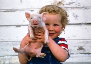 Boy holds piglet